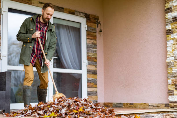 Best Furniture Removal Near Me  in Toledo, OH